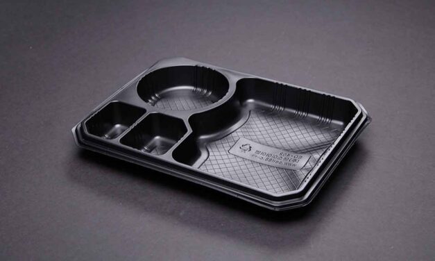 Japan’s largest manufacturer of disposable food containers defers costly ERP upgrades