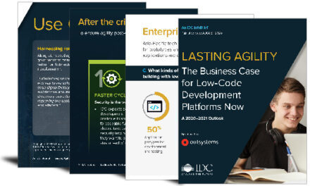 Lasting agility: the business case for low-code