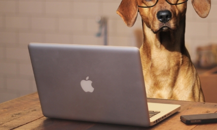 Animal owners count on technology to enhance pet management