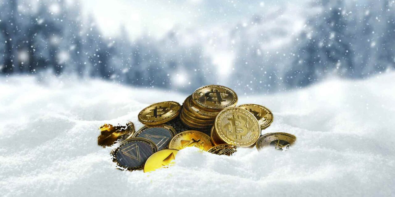 How to survive the crypto winter