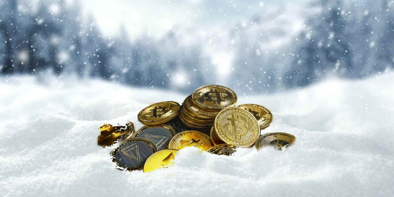 How to survive the crypto winter | DigiconAsia