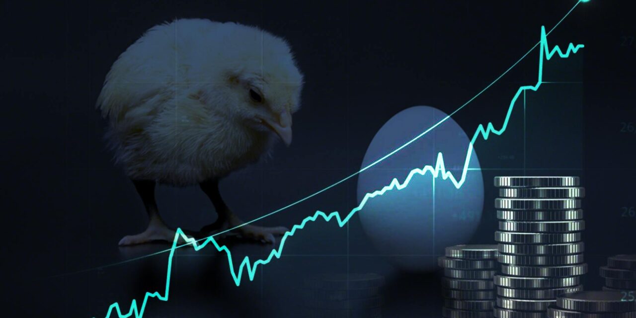 A chicken-and-egg dilemma: invest more on tech and expand disruption risks?